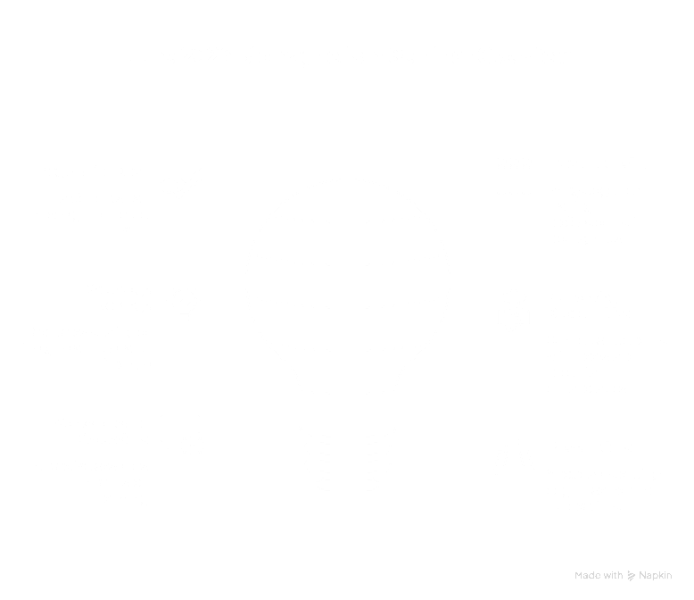 Infographic summary of the June Advanced biomagnetism seminar and course pathway