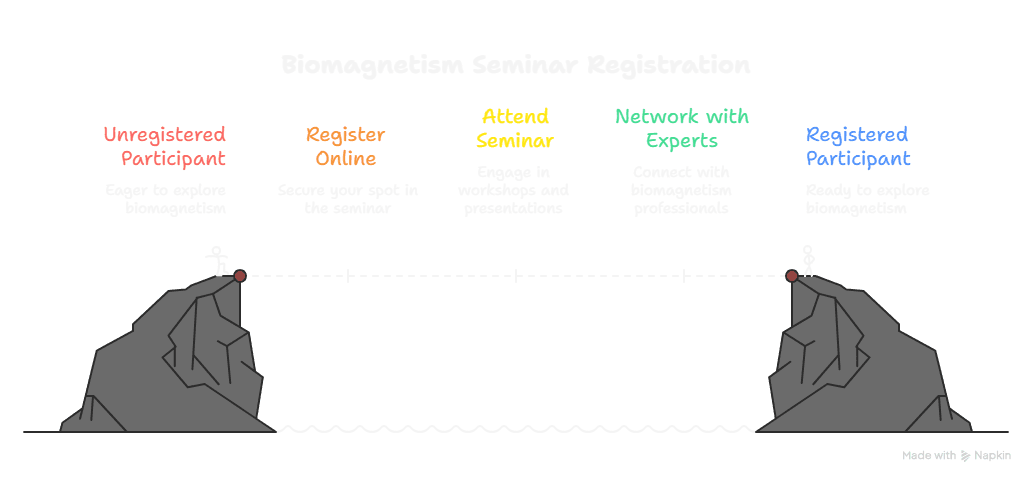 Infographic of biomagnetism seminar registration journey from unregistered to registered participant