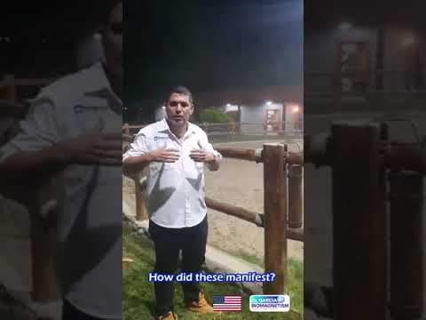 Magnetized water pipes Testimonial