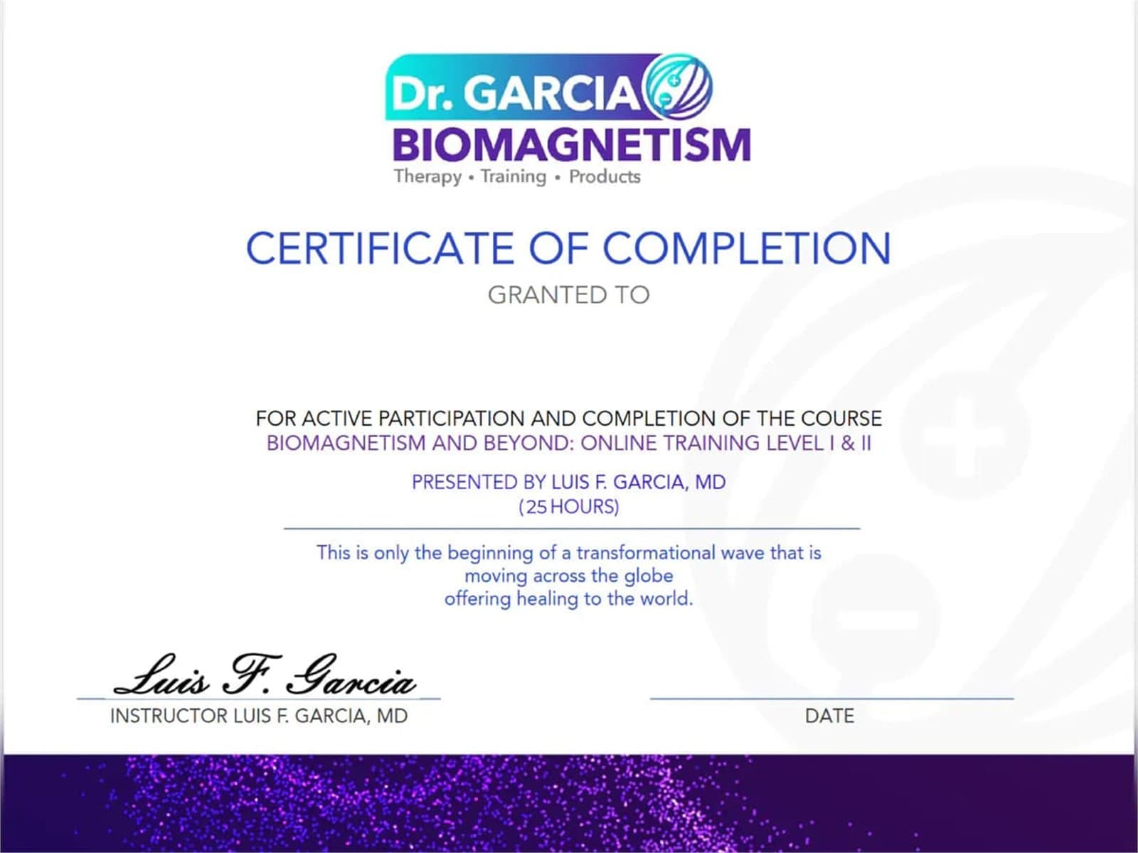 Biomagnetism training certificate