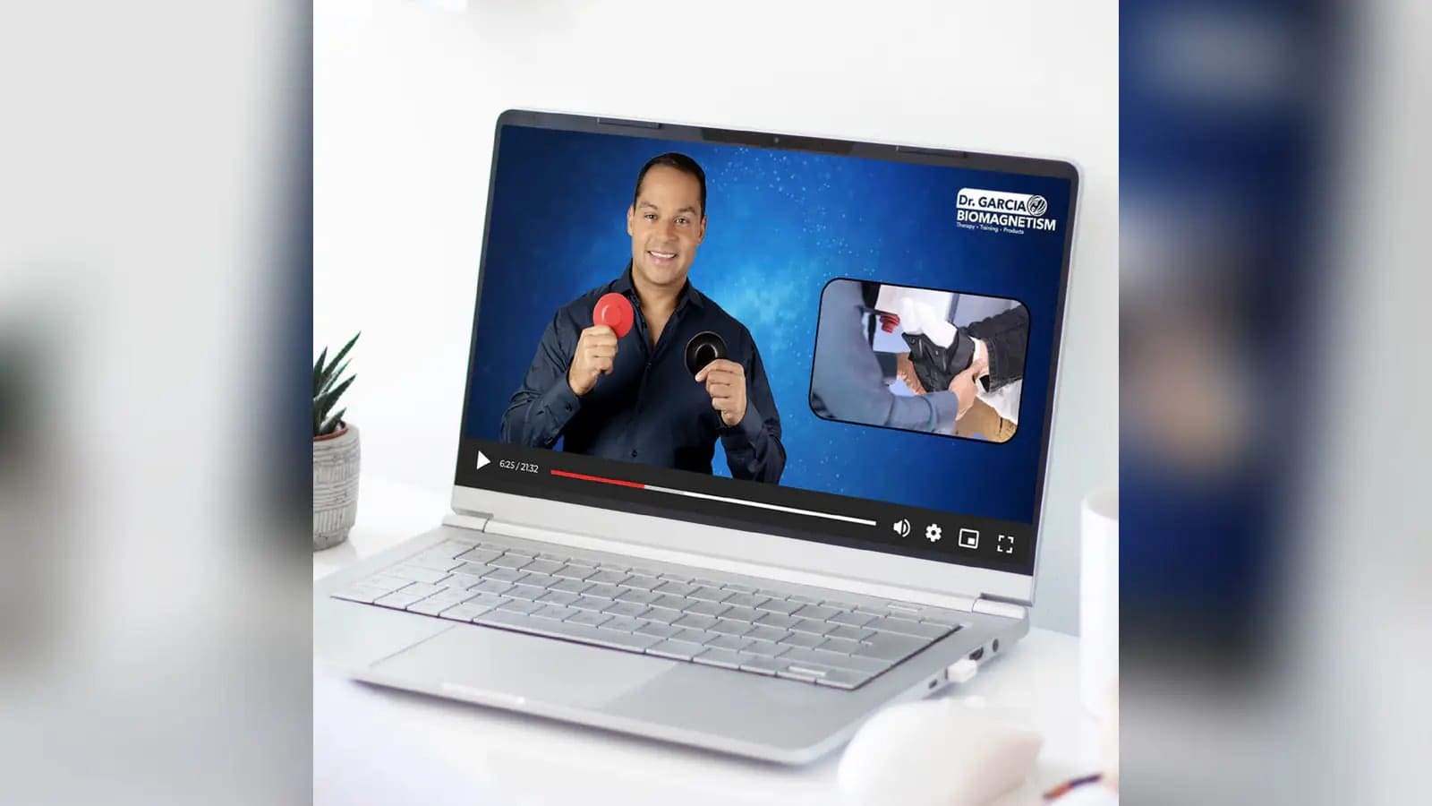 Online biomagnetism training program overview